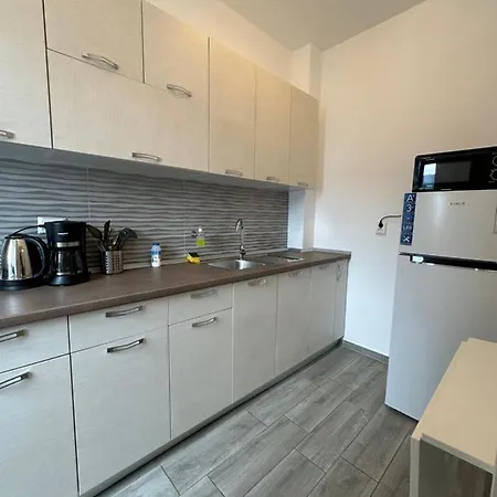 97 Rent House Апартаменты Бухарест