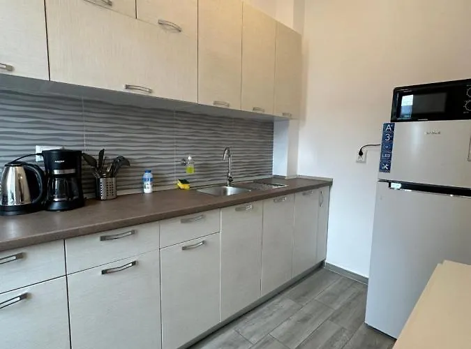 97 Rent House Апартаменты Бухарест