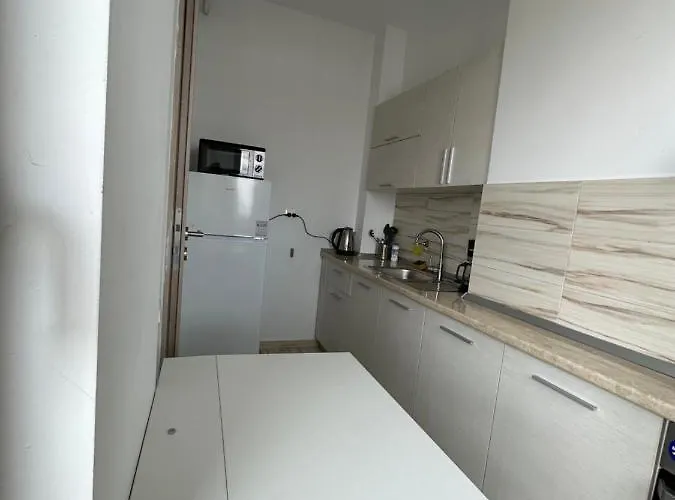97 Rent House Апартаменты Бухарест